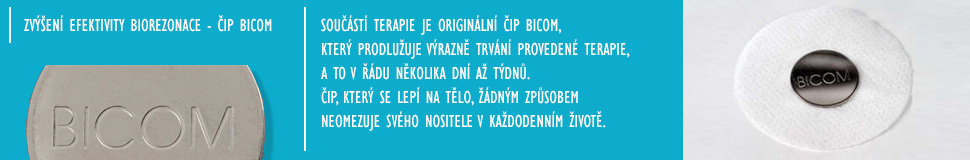 Ordinace celostní medicíny, biorezonance BICOM - Děčín, Ústí nad Labem, Praha - - ODVYKÁNÍ KOUŘENÍ